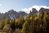 001 Il Cimone della Bagozza svetta sopra i pini